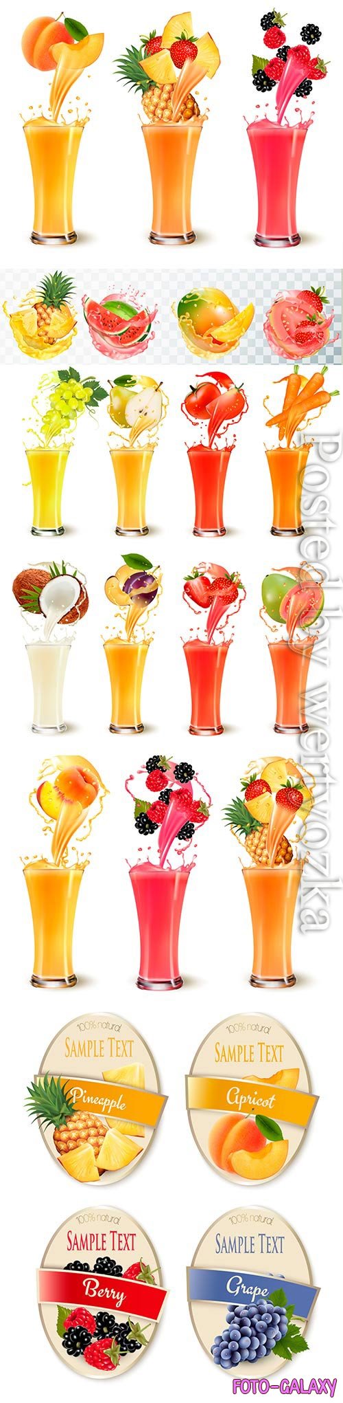 Fresh fruit and berry juices in vector