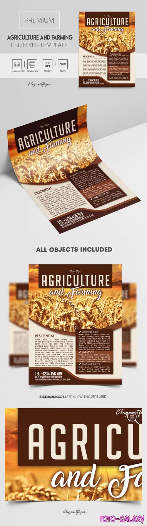 Agriculture and Farming Premium PSD Flyer Template
