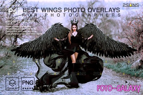Realistic White Black Gold Angel Wings Photoshop Overlays V1 - 1447937