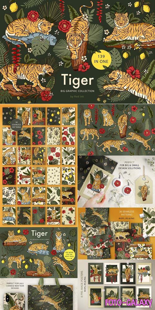 Tiger illustration. Graphic bundle - 6533815