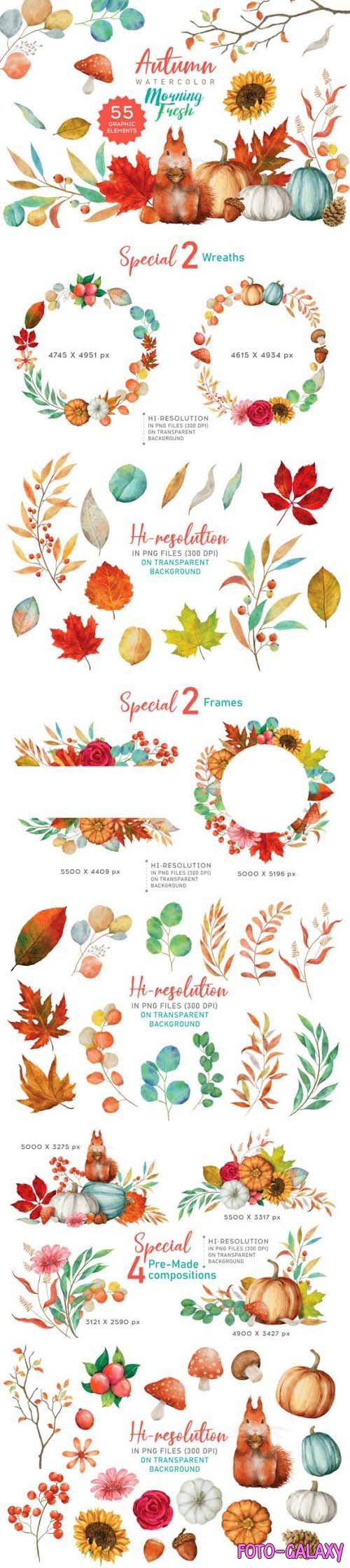 Autumn Leaves Watercolor PNG Elements