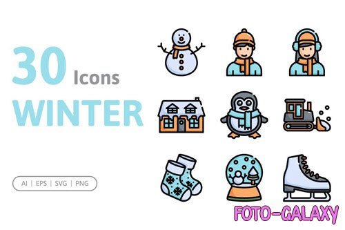 30 Winter Icons