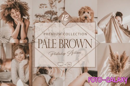 12 Pale Brown Photoshop Actions, Soft ACR Preset, Brownie Ps Filter