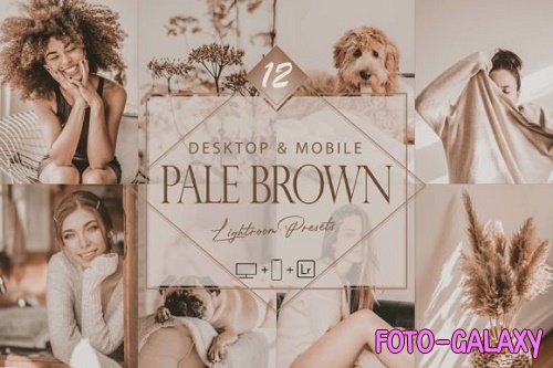 12 Pale Brown Lightroom Presets, Soft Mobile Preset, Brownie Desktop LR Filter 