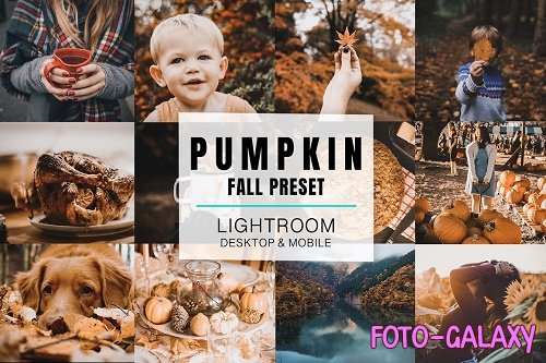 Lightroom Mobile - Pumpkin - 2920597