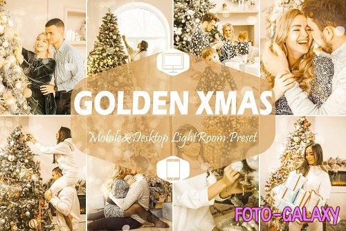10 Golden Xmas Lightroom Presets- 1630249