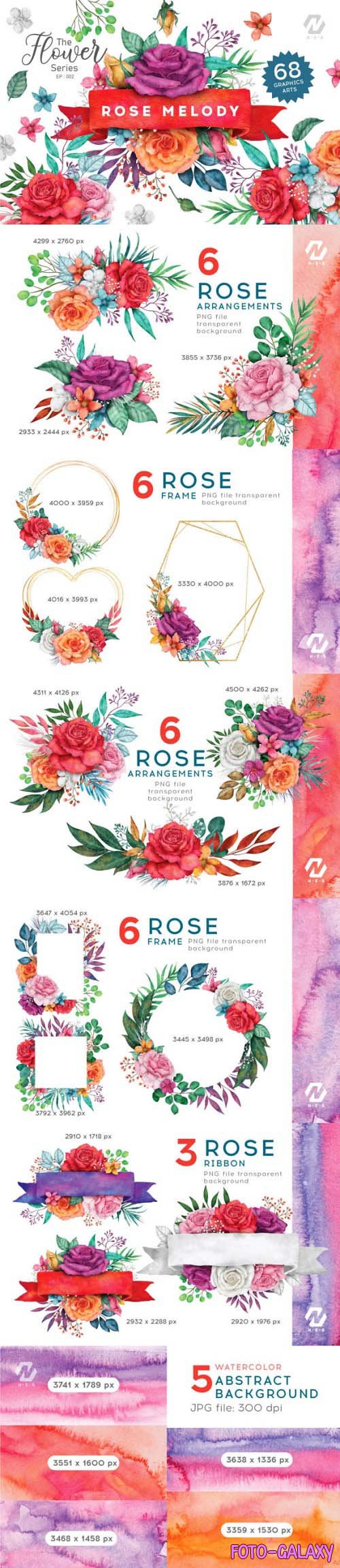 Rose Flower Watercolor Colorful Arts