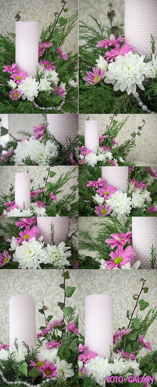 Белые и розовые хризантемы - Растровый клипарт
