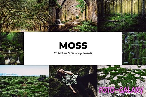 20 Moss Lightroom Presets & LUTs - 6589707