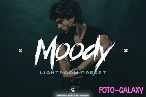 Studio Moody Lightroom Preset