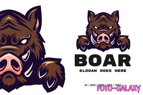 Boar mascot logo