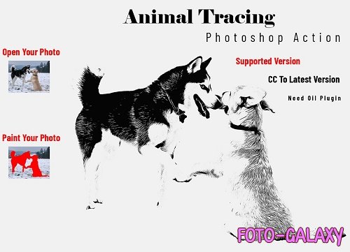 Animal Tracing Photoshop Action - 6647974