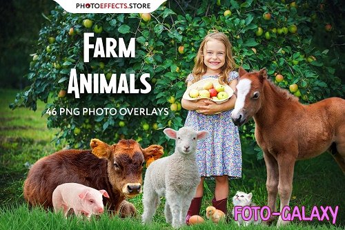 46 Farm Animals Photo Overlays - 6652852
