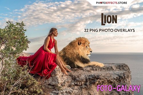 22 Lion Photo Overlays - 6652857