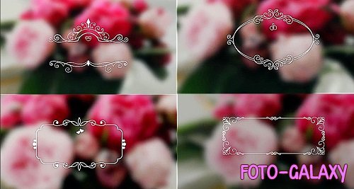 Wedding Ornaments 1042666 - Project for After Effects