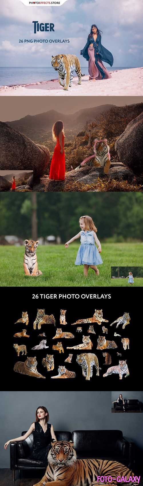 26 Tiger Photo Overlays - 6666419