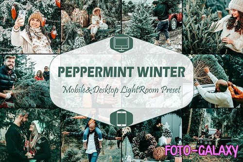 10 Peppermint Winter Mobile & Desktop Lightroom Presets - 1701718