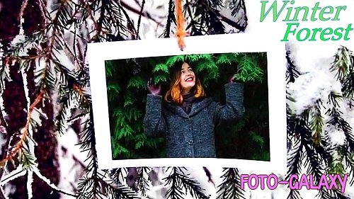 New Year photos In The Winter Forest 22 - Project for After Effects