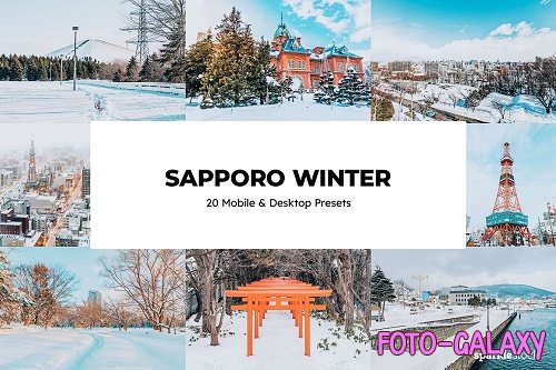 20 Sapporo Winter Lightroom Presets - 6715162