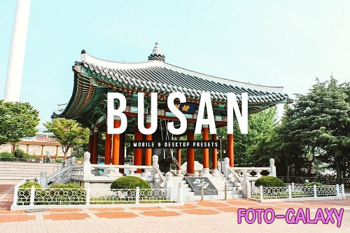 Busan Pro Lightroom Presets - 6811631