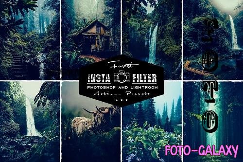 Forest Photoshop Actions & Lightroom Presets
