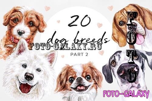 PART 2. Watercolor illustration set DOG breeds. Cute 20 dogs - 535399