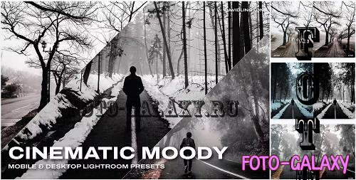 Cinematic Moody Lightroom Presets & LUTs