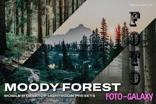 Moody Forest Lightroom Presets & LUTs