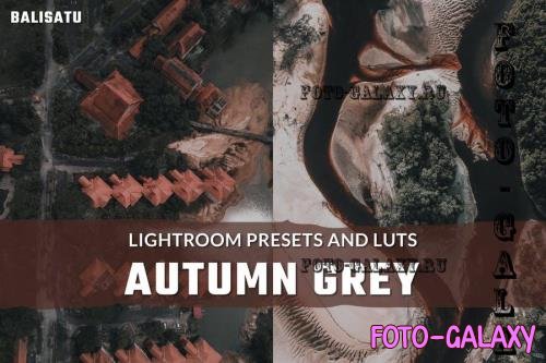 Autumn Grey LUTs and Lightroom Presets