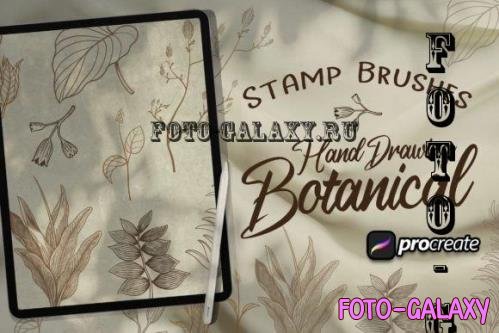 Hand Drawing Botanical Brush Stamp