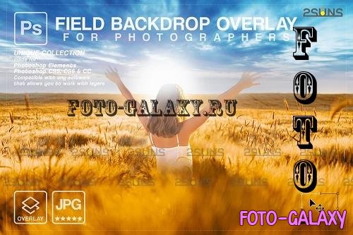 Ukraine Field Background - 7259714