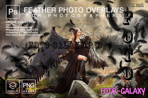 Black Feather photo overlays png V3 - 1998040