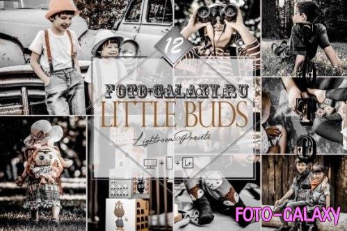 12 Little Buds Lightroom Presets, Moody