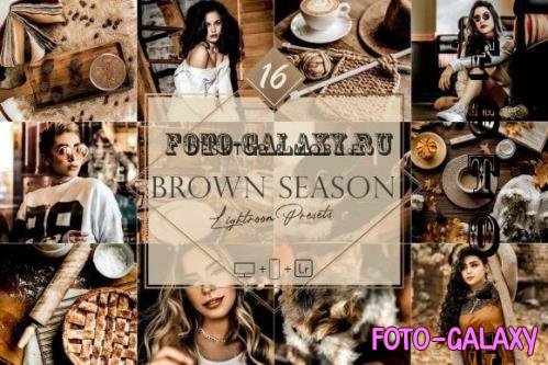 16 Brown Season Lightroom Presets, Moody