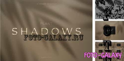 Plant Shadows Pack - G6N48WV