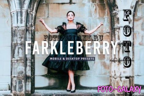 Farkleberry Pro Lightroom Presets - 7469788