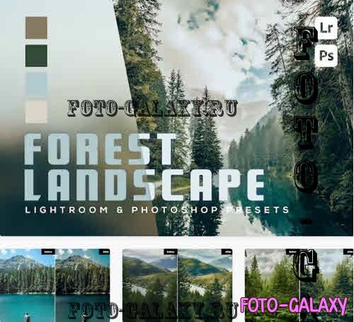 Forest 7 Landscape Lightroom and Photoshop Presets