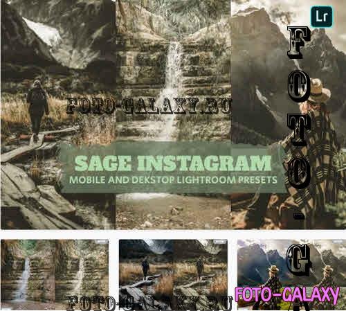 Sage Instagram Lightroom Presets Dekstop Mobile