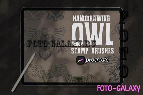 Owl Handrawing Brush Stamp Procreate