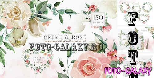 Creme & Rose Watercolor Set - 2749212