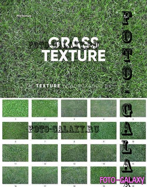 20 Grass Textures HQ - 8453277