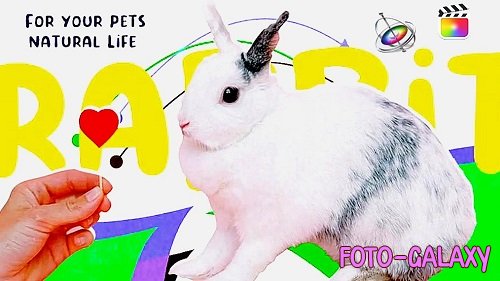 Videohive - Pethouse - Pets Shop & Animal Promo 35428638 - Project For Final Cut & Apple Motion