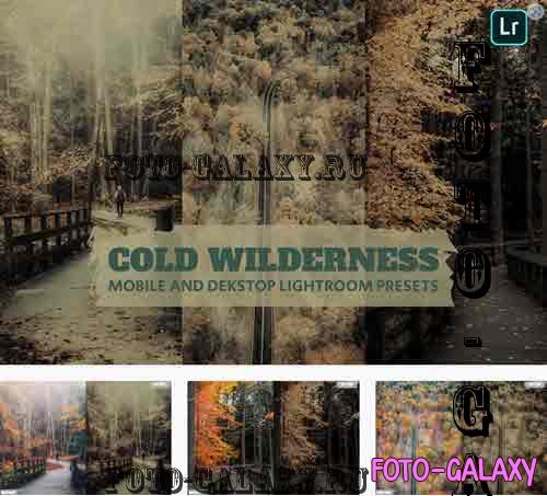 Cold Wilderness Lightroom Presets Dekstop Mobile