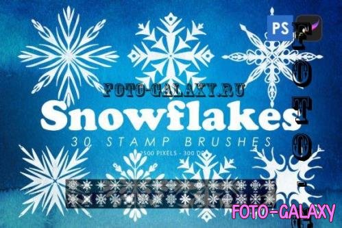 Snowflakes Stamp Brushes