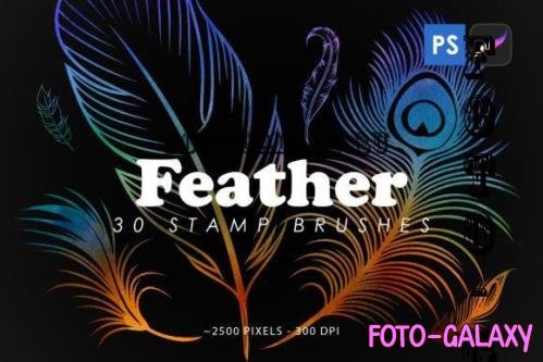 Feather Stamp Brushes