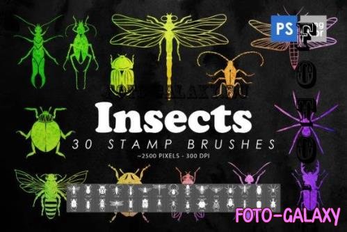 30 Insects & Bugs Photoshop Brushes