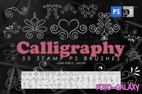 50 Calligraphy Photoshop Stamp Brushes