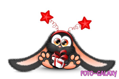 Cute fluffy black bunny in red star headband and gift box in his paws, chinese 2023 new year symbol