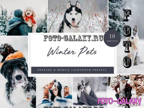 10 x Winter Pets Lightroom Presets - 10971861