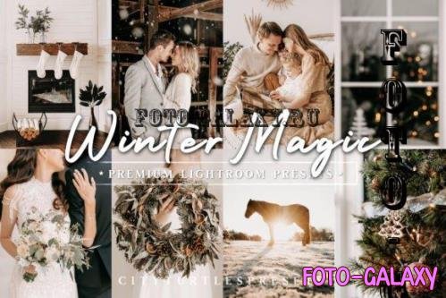 Natural Winter Magic LR Presets - 10983799